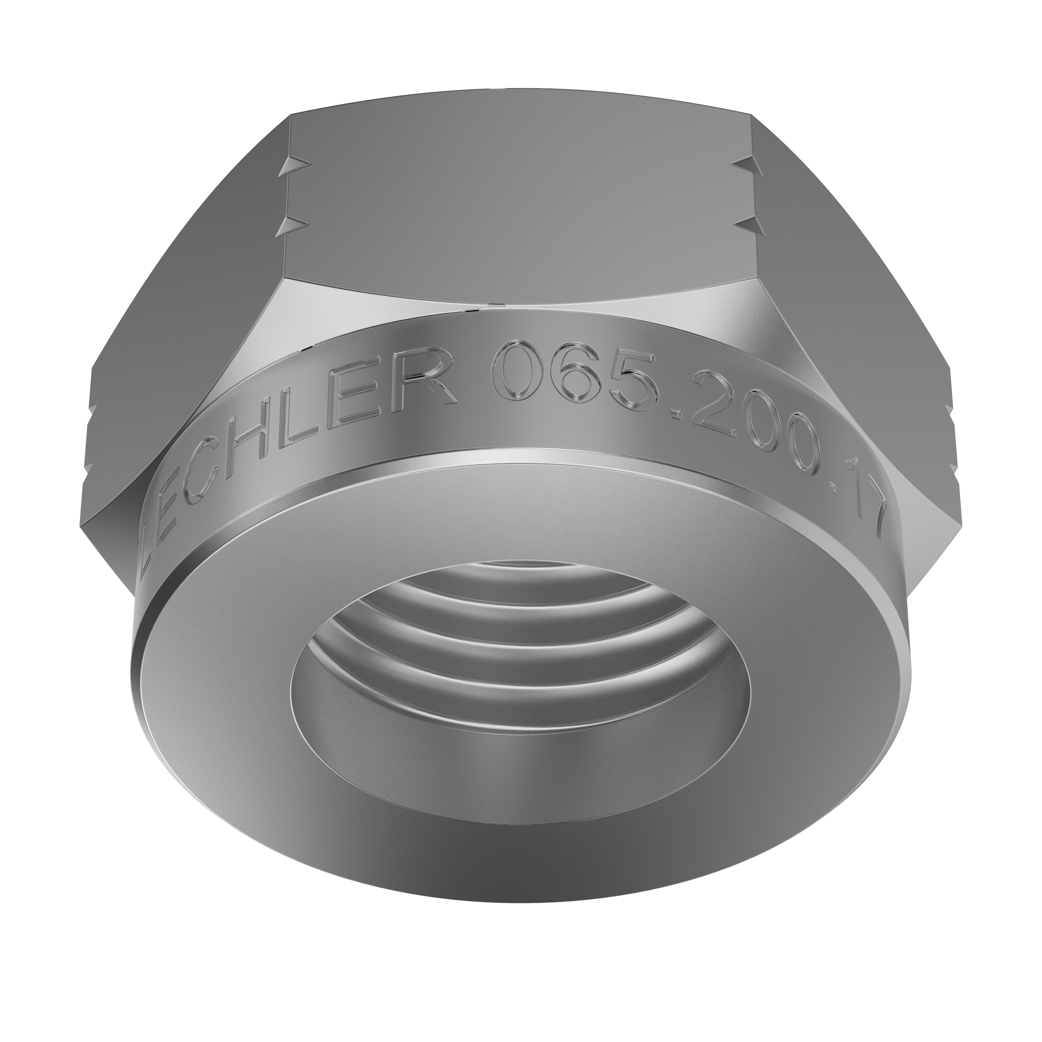 Piulita olandeza pentru filet