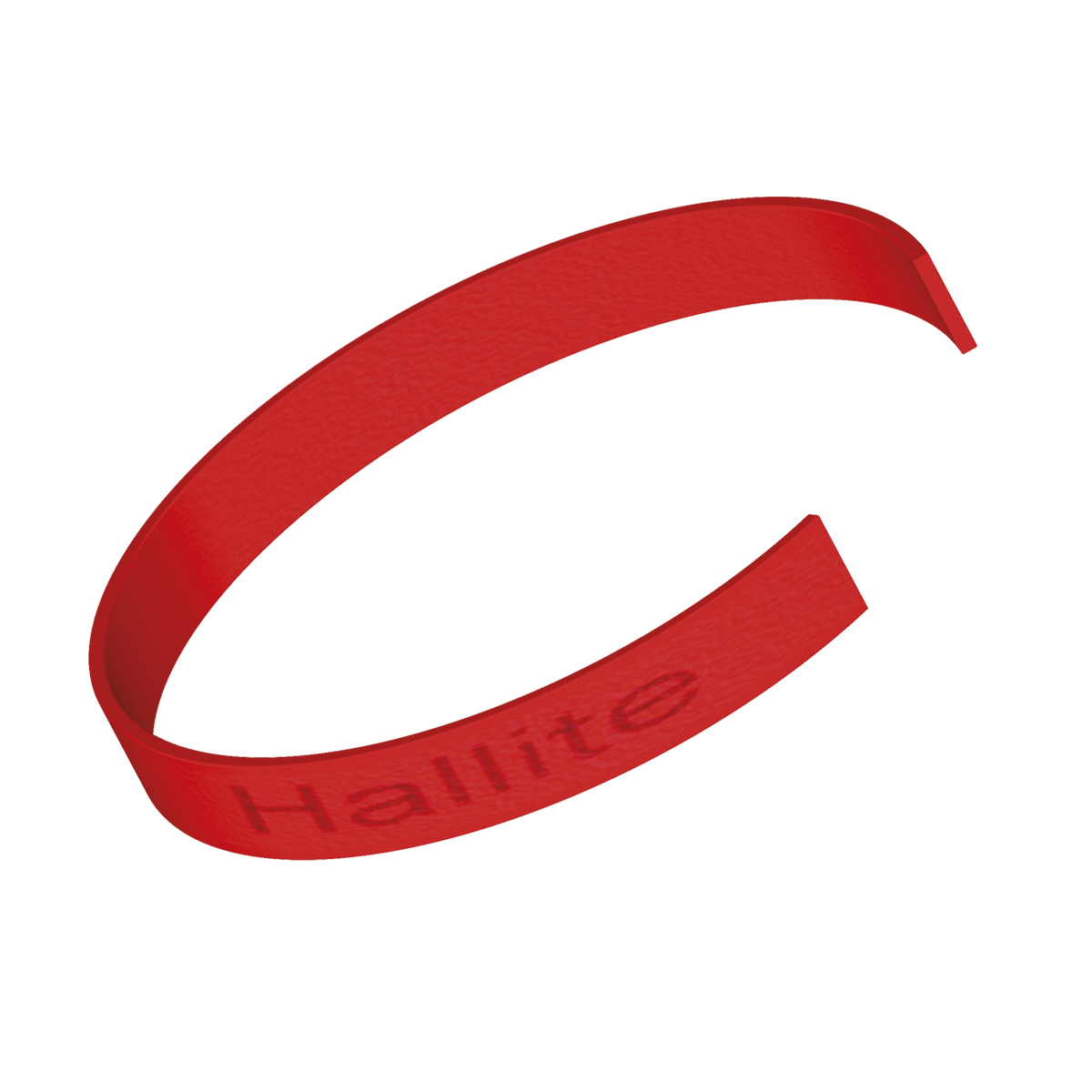 Inel de ghidare - F506